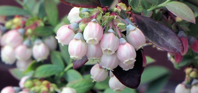 Nbreccf6pnxhzm Nbreccf6pnxhzm