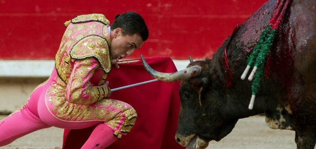 サウジアラビアで牛追い祭り スペイン情報誌 Acueducto サウジアラビアで牛追い祭り スペイン情報誌 Acueducto