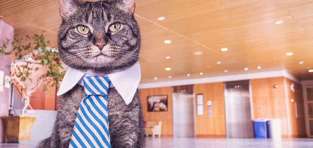 Znalezione obrazy dla zapytania Określ swój self-image