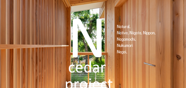 中野のエスネル 04 n杉外壁 張り方のバリエーション ルーバー張り 住宅設計エスネルデザイン 中野のエスネル 04 n杉外壁 張り方のバリエーション ルーバー張り 住宅設計エスネルデザイン