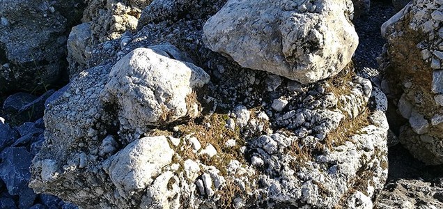 庭を造りたい方必見 庭石の費用の相場についてご紹介します 揖斐川庭石センターblog