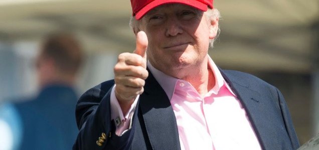 crop?height=300&key=fd92ebbc52fc43fb98f6