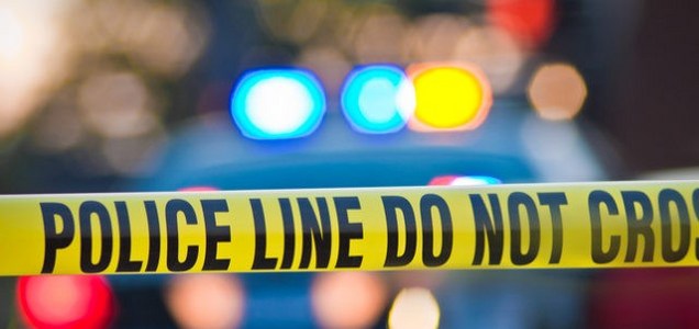 crop?height=300&key=fd92ebbc52fc43fb98f6