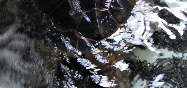 ブログ 私が頑張った分だけ儲かる水道局 を投稿しました エキサイトブログ ツイレポ ブログ 私が頑張った分だけ儲かる水道局 を投稿しました エキサイトブログ ツイレポ