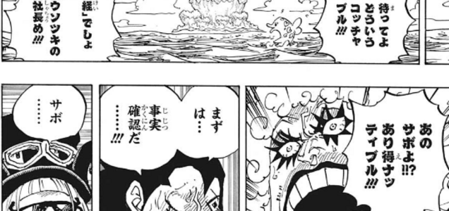Thouzard ワンピース考察 ネタバレ サボ死亡説 とまさかのエース復活の可能性 Thouzard ワンピース考察 ネタバレ サボ死亡説 とまさかのエース復活の可能性
