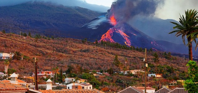 La Palma: Un Laboratorio Vivo per la Biodiversità dopo l'Eruzione del Tajogaite