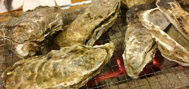 ミルキー鉄男のかき小屋 By Tycoon タイクーン プレスマンユニオン ミルキー鉄男のかき小屋 By Tycoon タイクーン プレスマンユニオン