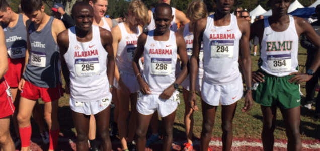 Bama Track Xc Coach It S Hard To Get American Kids On The Phone And Be A Good Dad