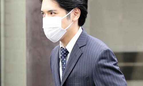 ぎりぎり合格への論文マニュアル 平凡社