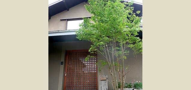 庭石の石組みにおける基本的なポイントについて6つご紹介します 揖斐川庭石センターblog 庭石の石組みにおける基本的なポイントについて6つご紹介します 揖斐川庭石センターblog