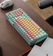 Cooler Master CK550 (Gateron Blue) – Remove Before Flight