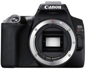 Canon EOS Kiss X10実写レビュー！初心者向け最新モデルを現役 