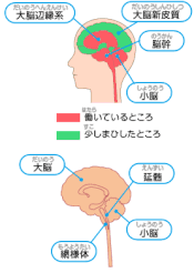 女性はどんなときにsexしたいと思ったり 性欲が増すのか エロトリ Ero Trivia