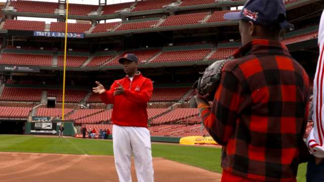 Redbird Rookies  St. Louis Cardinals