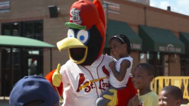 Redbird Rookies  St. Louis Cardinals