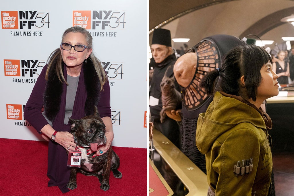 Carrie Fisher's Dog Gary